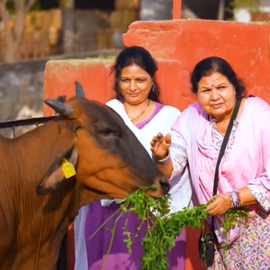India is a land of civilizations and religions